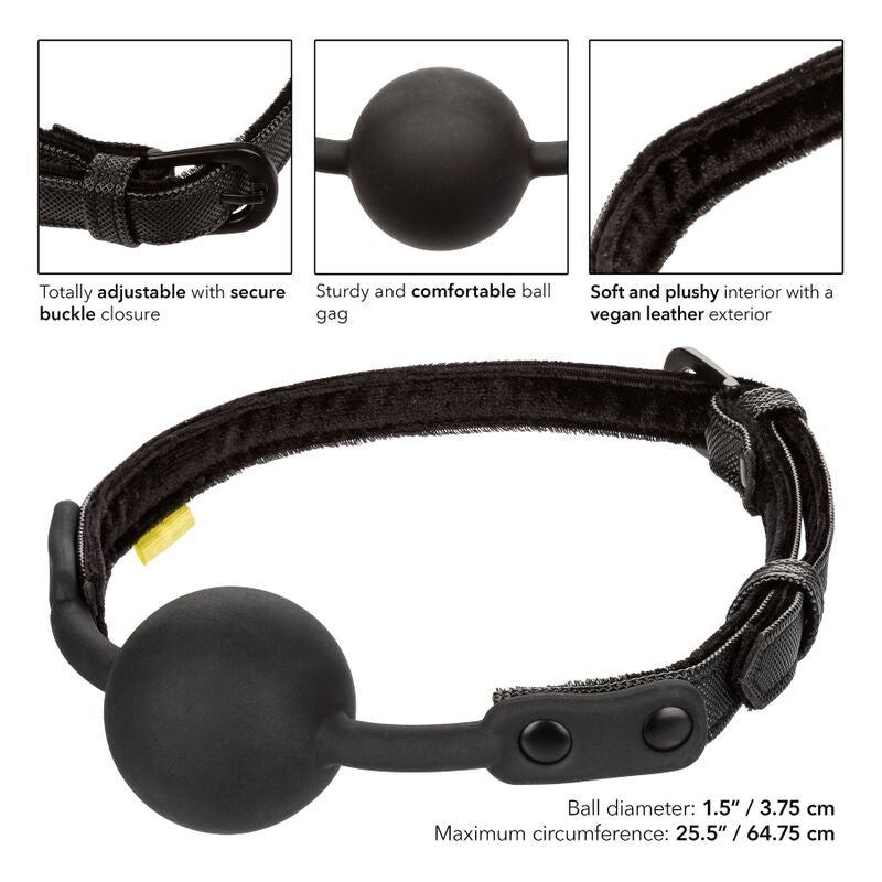 CALEXOTICS - BOUNDLESS GAG