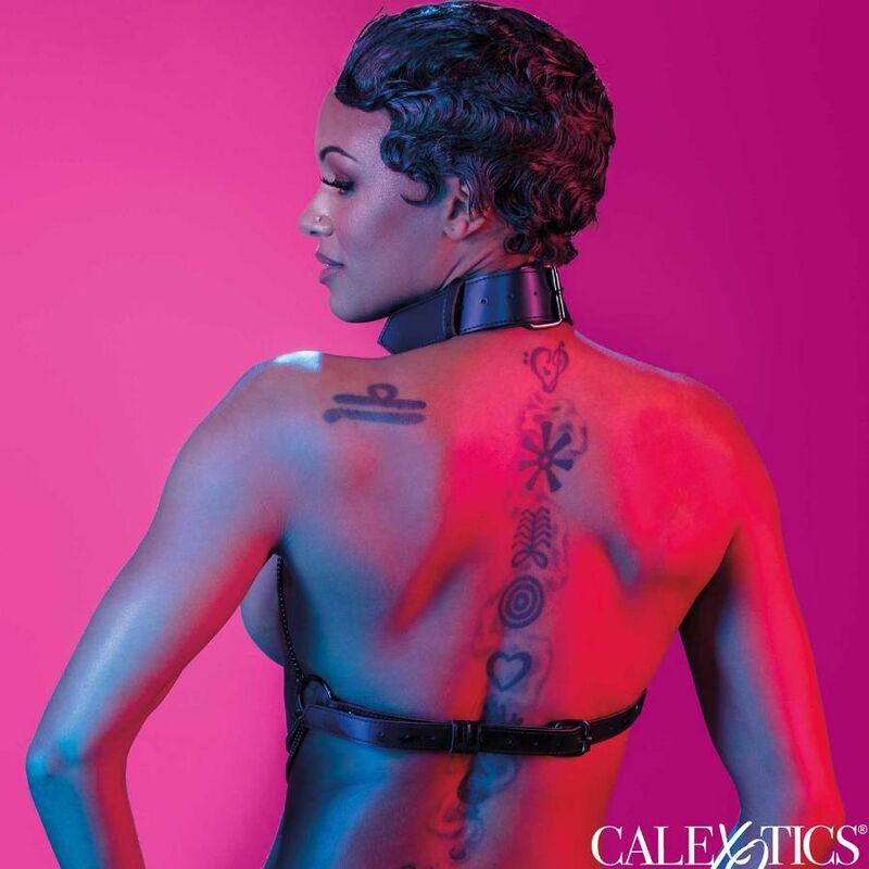 CALEXOTICS - EUPHORIA CHAIN NECK HARNESS