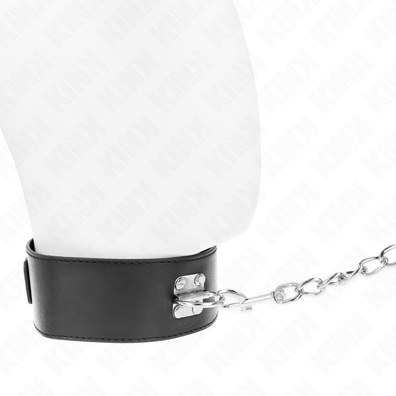 KINK - COLLAR WITH 65 CM LEASH BASIC MODEL MODEL 2